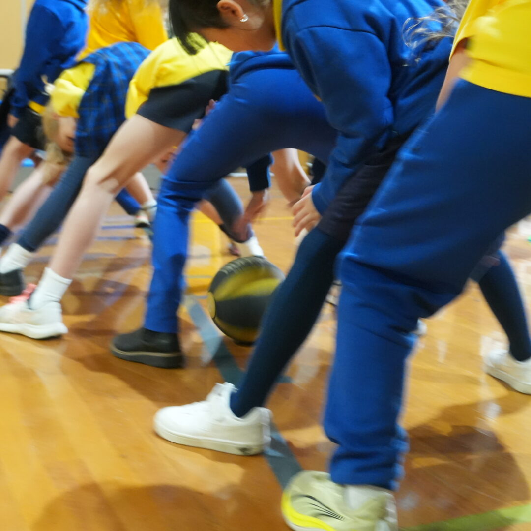 Weightlifting (commonwealth Games) Camberwell South Primary 2