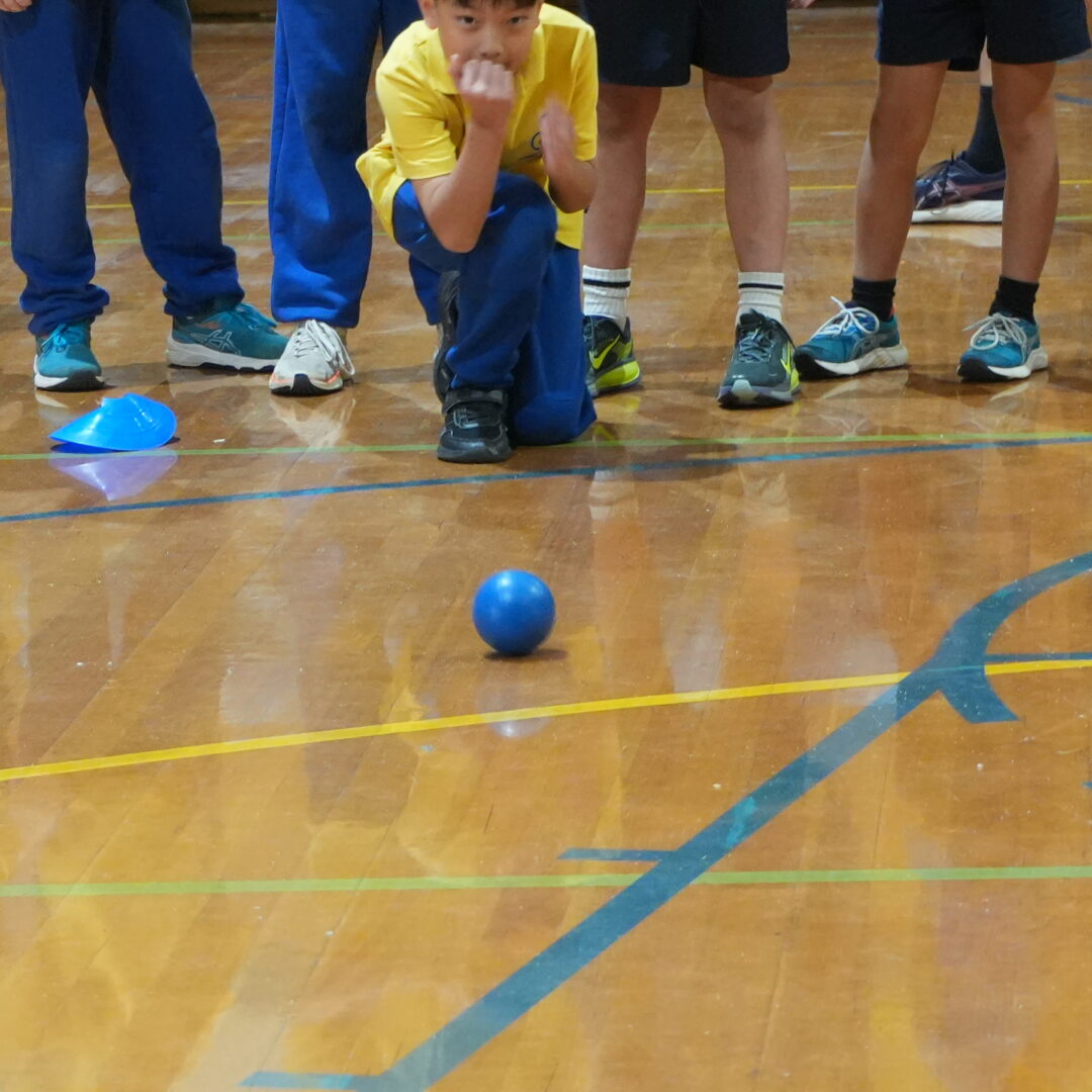 Lawn Bowls (commonwealth Games) Camberwell South Primary 3